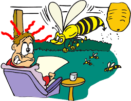 Ong làm tổ trong nhà