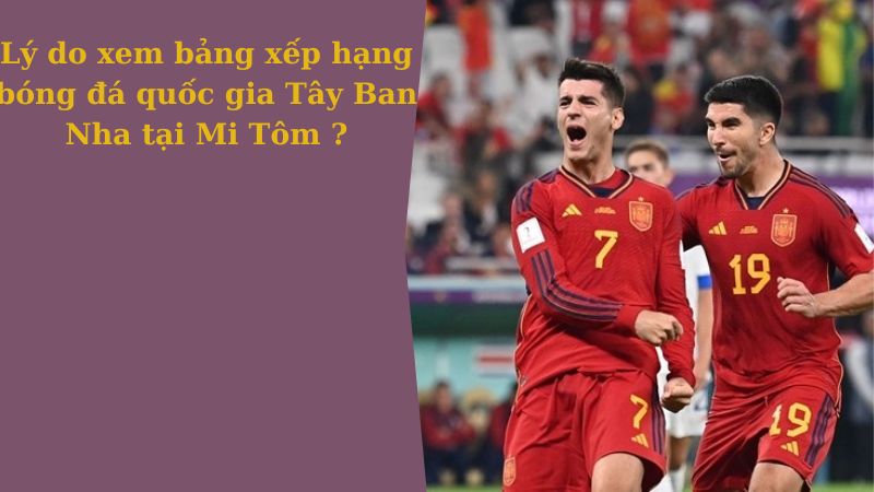 Lý do xem bảng xếp hạng bóng đá quốc gia Tây Ban Nha tại Mi Tôm ?